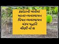 ઓછા સમયમાં ખૂબ જ સારું વળતર આપતો પાક વિષે high income crop