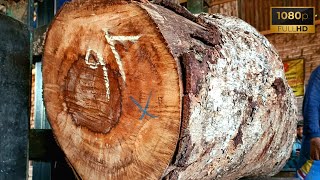 Terungkap‼️Bonggol kayu bayur bahan kaki kursi kuwat murah digergaji sawmill