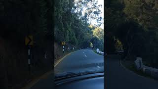 Ooty Doddabetta Peak Road..