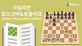 시실리안 디펜스: 모스크바\u0026로쏠리모 바리에이션 (Sicilian Defense: Moscow\u0026Rossolimo) - 체스닷컴 체스 오프닝 50