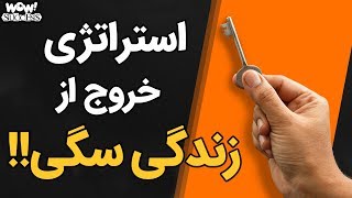 موفقیت : 5 استراتژی خروج از زندگی سگی و ساختن بهشت رویایی !!؟