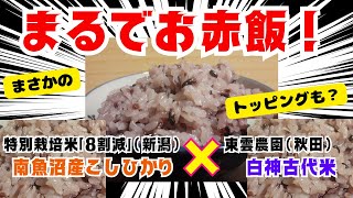 神もっち！越後○○？日本海トリオの魅力も！南魚沼産こしひかり特別栽培米「8割減」×ショップチャンネルで購入「白神古代米」(東雲農園)