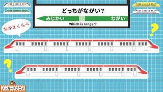 【どっちが長い？】新幹線の長さ比べをしよう！知育【赤ちゃん・子供向け】Bullet Train / Comparing Lengths