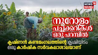 Ente Krishi, പറമ്പിൽ നൂറോളം പച്ചക്കറികൾ; കൃഷ്ണൻ കണ്ടമംഗലത്തിന്റെ Farm ഒരു കാർഷിക സർവകലാശാലയാണ്, N18V