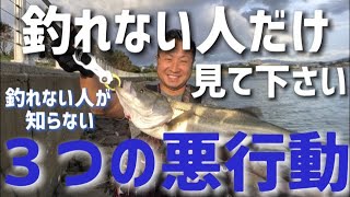 【シーバス】釣れそうでも釣れない…そんな方に見てほしい！100％吸収出来る超絶分かりやすいシーバス上達講座！