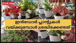 വീട്ടുമുറ്റത്തെ ചെടിയും#plants പിന്നെ കുറച്ച് പച്ചക്കറി വിശേഷങ്ങളും