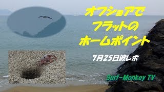 山口萩サーフィン 7月25日 オフショアフラットカニとミサゴのホームポイント ~サーフモンキーTV