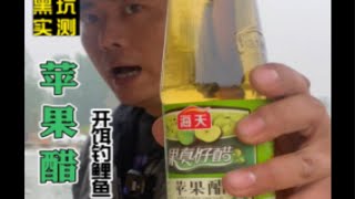 黑坑实测苹果醋开饵钓鲤鱼 散炮肉夹馍孔雀羽浮漂