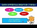 イラストで学ぶ医学！「亜鉛欠乏で貧血になる理由とは」透析で亜鉛不足になる？