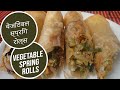Vegetable Spring Rolls