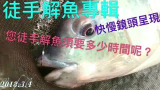 福壽魚休閒池（徒手解魚專輯）您徒手解魚須花多少時間呢？各式解魚手法快慢鏡頭呈現！感謝小顏小陳兩位福壽魚釣友拹助拍攝2018.3.4汐止289休閒池