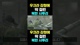 [한국농수산TV] 우크라 감청에 딱 걸린... 북한 사투리