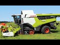 Claas Lexion 8900 Harvesting Canola | WORLDS BIGGEST COMBINE | Harvest Season 2021