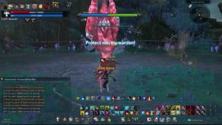 TERA Priest DPS 23 second Ghillieglades HM