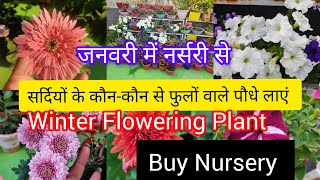 जनवरी में नर्सरी से सर्दियों के कौन-कौन से फुलों वाले पौधे लाएं/Winter Flowering plant buy Nursery 🌿