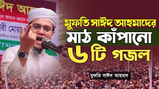 মুফতি সাঈদ আহমাদের মাঠ গরম করা ৬ টি গজল | Mufti Sayed Ahmad Kalarab | Bangla Gojol 2024