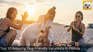 Top 10 Amazing Dog Friendly Vacations in Florida in 2023 🏖️🏞️| Best Dog-Friendly Trips in Florida