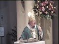 Homily by Archbishop Mark Coleridge - 15th Sunday of Ordinary Time