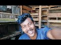 today vlog with my all pigeons 💥 সাদা লক্কাটা এখন সুস্থ আছে white fantail is now healthy myworld