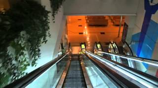 HAPPY ESCALATOR MONDAY!東海大学八王子病院三菱エスカレーター MITSIBISHI Escalators/l'escalator（動画）