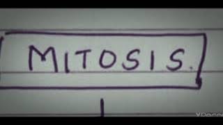 Mitosis cell division- Karyokinesis and Cytokinesis