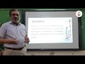 bot 3141 sphenopsida diversity of plants lecture 01