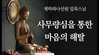 사무량심을 통한 마음의 해탈ㅣ일묵스님ㅣ제따와나선원 2023.11.08