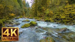 Beautiful Nature  in 4K (Ultra HD) - Autumn River Sounds - 5 Hours Long