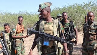 DAAWO Ciidamada Xooga Dalka Oo burburiye Saldhig Shabaab Jubaland