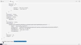 Using the Hookdeck CLI in Docker with a custom network