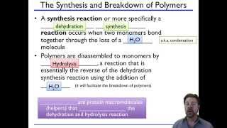 Biomolecules (Part I)