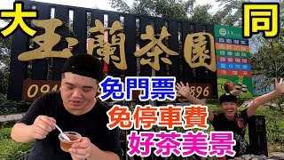 兩隻老哥】宜蘭縣大同鄉玉蘭茶園品茶賞美景免門票免停車費