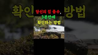 당신의 집 풍수, 좋은 기운이 들어오는지 3분만에 확인 할 수 있습니다 #풍수지리 #지식 #인테리어 #동기부여 #꿀팁 #명언 #성공