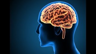 आपके दिमाग के बारे में तथ्य | Enigmatic Facts About the Human Brain and Consciousness