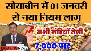 जनवरी 2025  सोयाबीन 7000  ? Soyabean bhav Soyaka rate, Soyabean mandi bhav aaj ka bhav तेजी रिपोर्ट