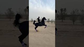 Omg he is very fast 😍🫶😱 #horse #horses #usa #funnyanimal #shortvideo #shortsfeed #shorts #arabic