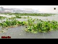 প্রচুর বৃষ্টির মধ্যে নৌকা ভ্রমণ boat journey in heavy rain 4k rainy morning adventure world