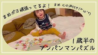 パズルをする まめポヨ とまめの心の声〔 まめポヨ 1歳7ヶ月 〕