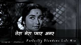 Tera Mera Pyaar Amar - Slowed x Reverb | Old Hindi Song Slowed | Another Sad Night