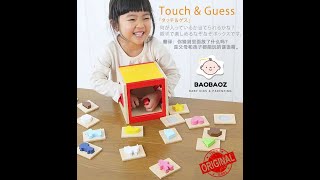 Ed. Inter JAPAN Touch Guess \u0026 Match Baby Cognitive THINKING Wooden Toy