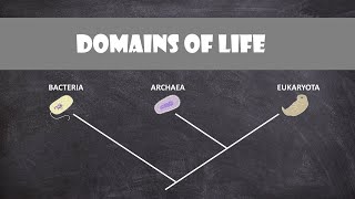 Domains of Life | Classification