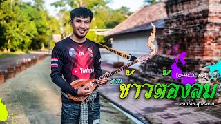 ข้าวต้องลม - แคนน้อย สุดสะแนน [ LYRIC VERSION ]