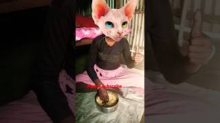 ye billi ye dekh mayra |😂 funny video 😂#trending #youtubeshorts