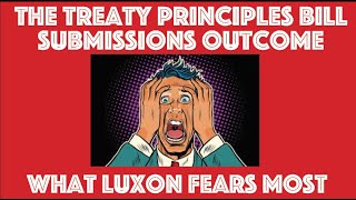 The Treaty Principles Bill Submissions Outcome. What Luxon Fears Most.