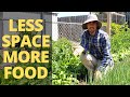 GROW MORE FOOD in Your Garden: Interplanting Strategies