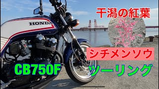 【CB750F】干潟の紅葉シチメンソウツーリング 佐賀