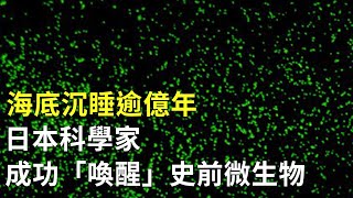 海底沉睡逾億年 日本科學家成功「喚醒」史前微生物 - 自然科學 - 新唐人亞太電視台