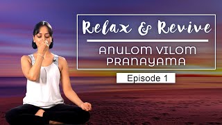 Simple Ways To MEDITATE At HOME | Anulom - Vilom Pranayam: Breathing Exercise | Relax & Revive|  E01