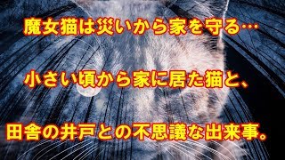 【感動する不思議な話 】魔女猫は災いから家を守る…小さい頃から家に居た猫と、田舎の井戸との不思議な出来事。