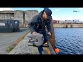 Blueye X3 Gripper (in-water) Teams Demo | Blueye Digital Launch Event